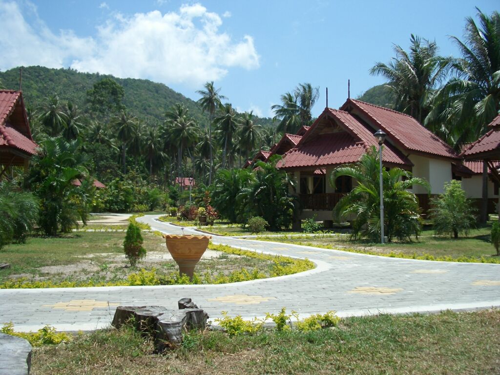 Click to See Next Image